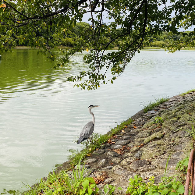 Akashi park