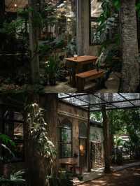 VANVELA cafe & space