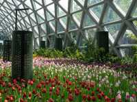 Princess Maha Chakri flower garden Thailand 🇹🇭 
