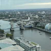 City in Bloom: London Views from Sky Garden’s Oasis
