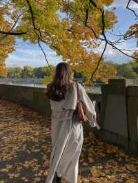 가을의 크라쿠프 🍂