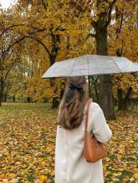 가을의 크라쿠프 🍂