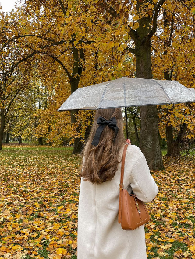 가을의 크라쿠프 🍂