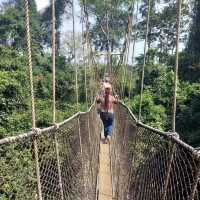 The Kakum National Park in Ghana 🇬🇭 