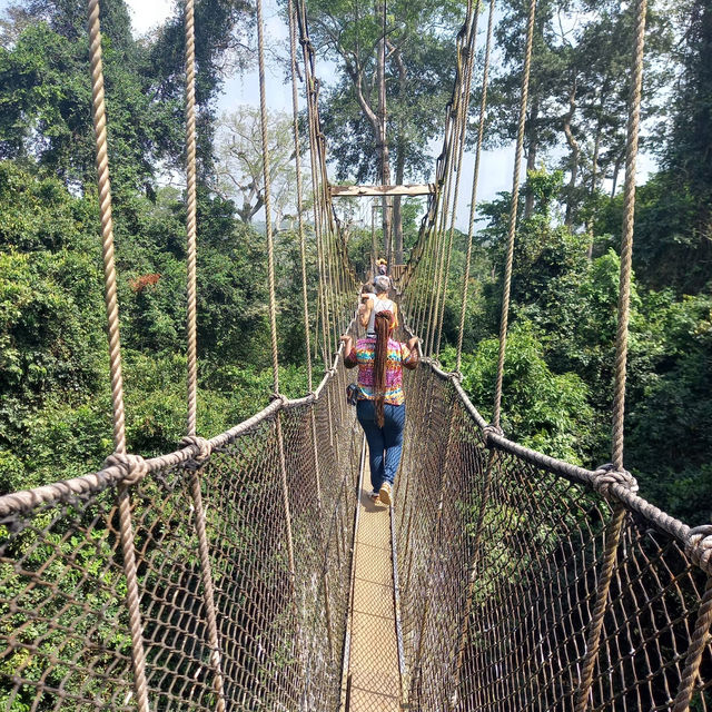 The Kakum National Park in Ghana 🇬🇭 