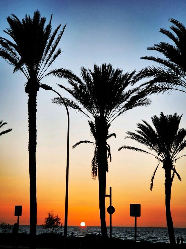 Tenerife Sunsets
