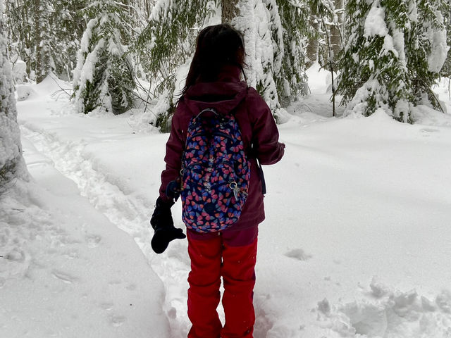 A winter hiking trip in Porvoo, Finland