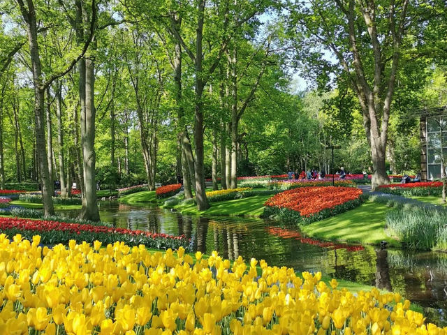 Tulip Season in the Netherlands: A Dreamy Escape to Keukenhof 🌷✨