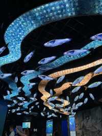 Primorsky Oceanarium