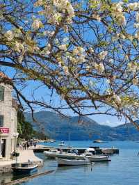 Elaphiti Islands, a perfect day trip from Dubrovnik!