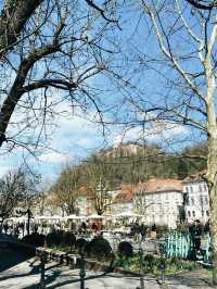 Slovenia’s Sweet Side: Bridges, Bites & a Bit of Magic in Ljubljana