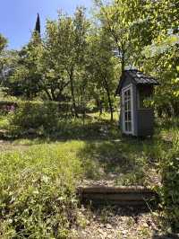 Chill time at Tbilisi botanical garden 