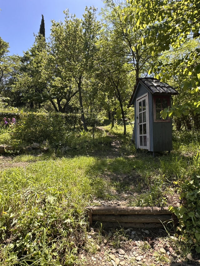 Chill time at Tbilisi botanical garden 