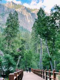 🏕️ Where to Stay in Yosemite National Park 🏨🌄