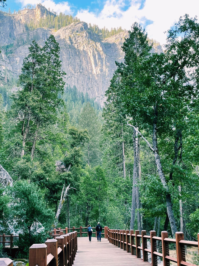 🏕️ Where to Stay in Yosemite National Park 🏨🌄