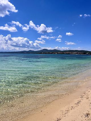 Sardinia 🐠🐬☀️🏖️👙🐚
