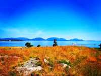 Baker Island – Acadia’s Remote Coastal Escape