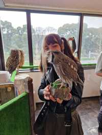 Too Kawaii to Handle: The Wild, Weird & Cute World of Harajuku