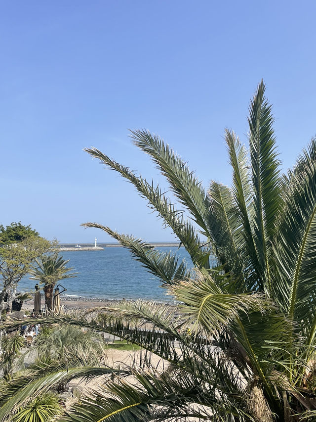🌴 제주와 부산, 바다 위에 펼쳐진 감성의 결 🌆