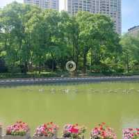 Little parks in Shanghai, little water worlds in the heart of the city