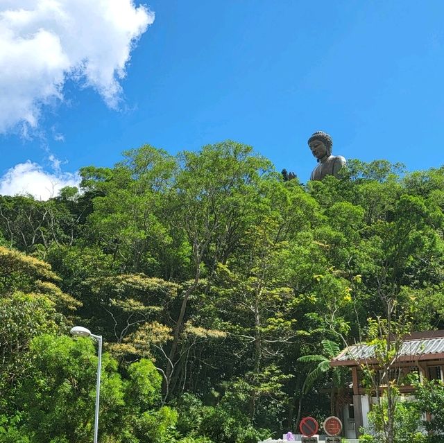 🌟 Discover the Majesty of the Big Buddha in Hong Kong! 🇭🇰🧘‍♂️