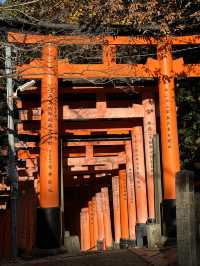 Exploring Kyoto’s spiritual heart was an absolute highlight!