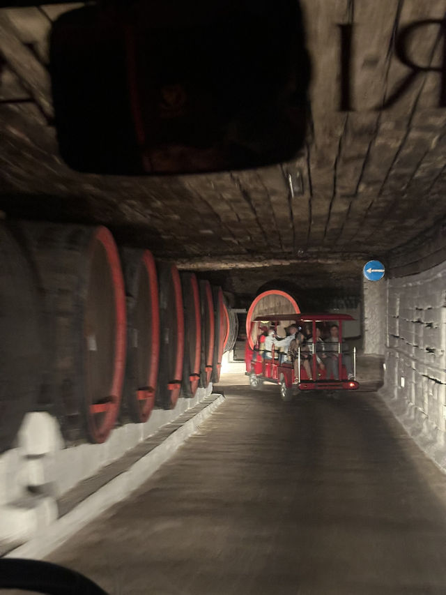 🍾 Cricova: Moldova's Sparkling Presidential Cellar