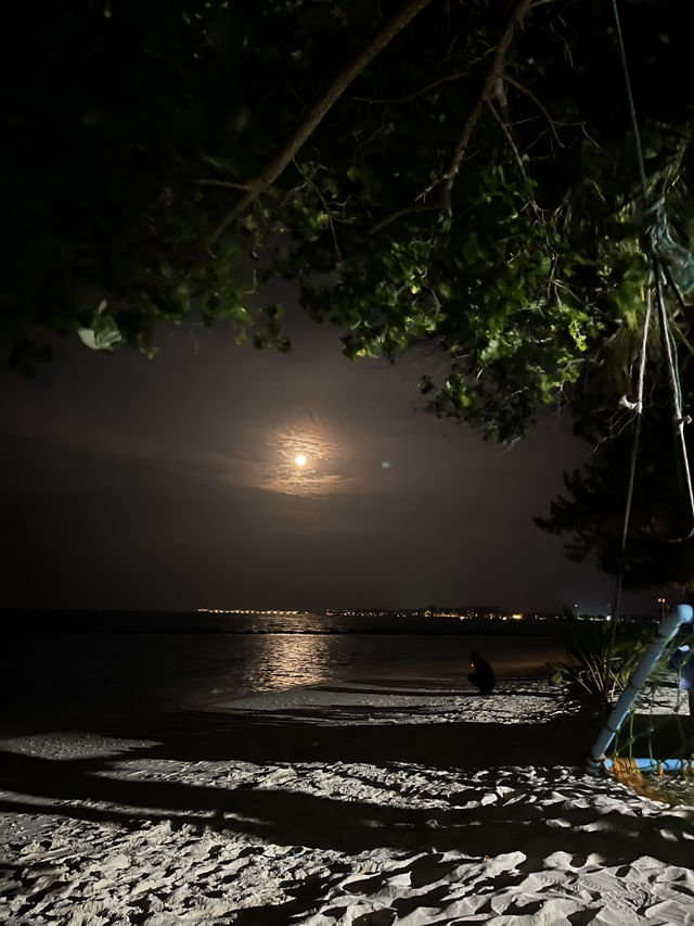 🌴 Thulusdhoo Holiday – Relax, Explore, Repeat 🌊✨ 🌴 Thulusdhoo Holiday – Relax, Explore, Repeat 🌊✨