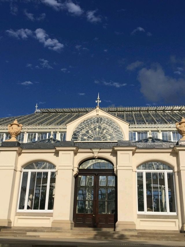 🌿 Kew Gardens: A Green Escape in London