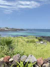 Jeju’s Hidden Gem: Chill Vibes on Aewol Coast Road 🌊🦀