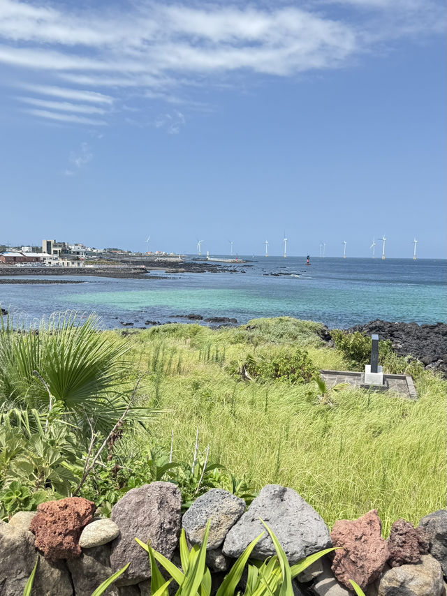 Jeju’s Hidden Gem: Chill Vibes on Aewol Coast Road 🌊🦀