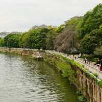 Whispers of Water – Riverside Moments in Yushan County 🌊🍃