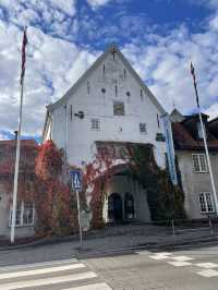 Oslo in a day