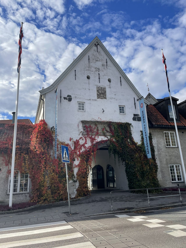 Oslo in a day