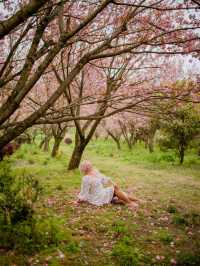Сад Пинба в долине Гуйчжоу