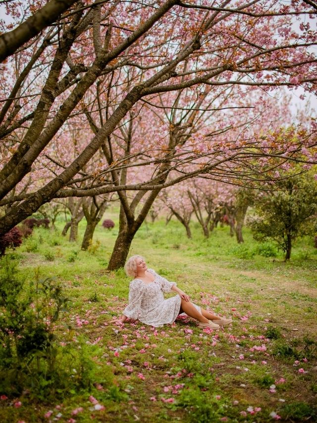 Сад Пинба в долине Гуйчжоу Сад Пинба в долине Гуйчжоу