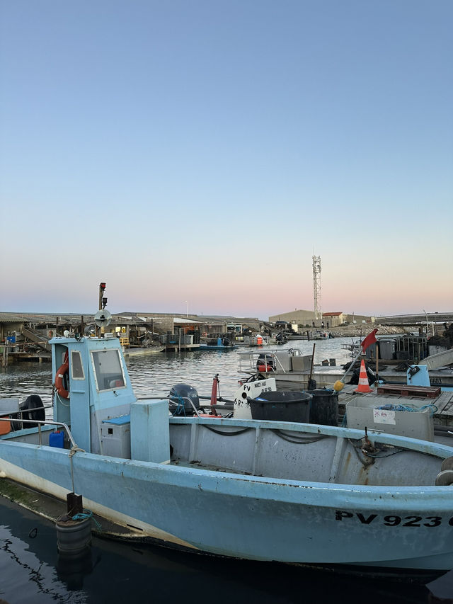 leucate oyster trip from barcelona ๐๐ฆช๐ leucate oyster trip from barcelona ๐๐ฆช๐