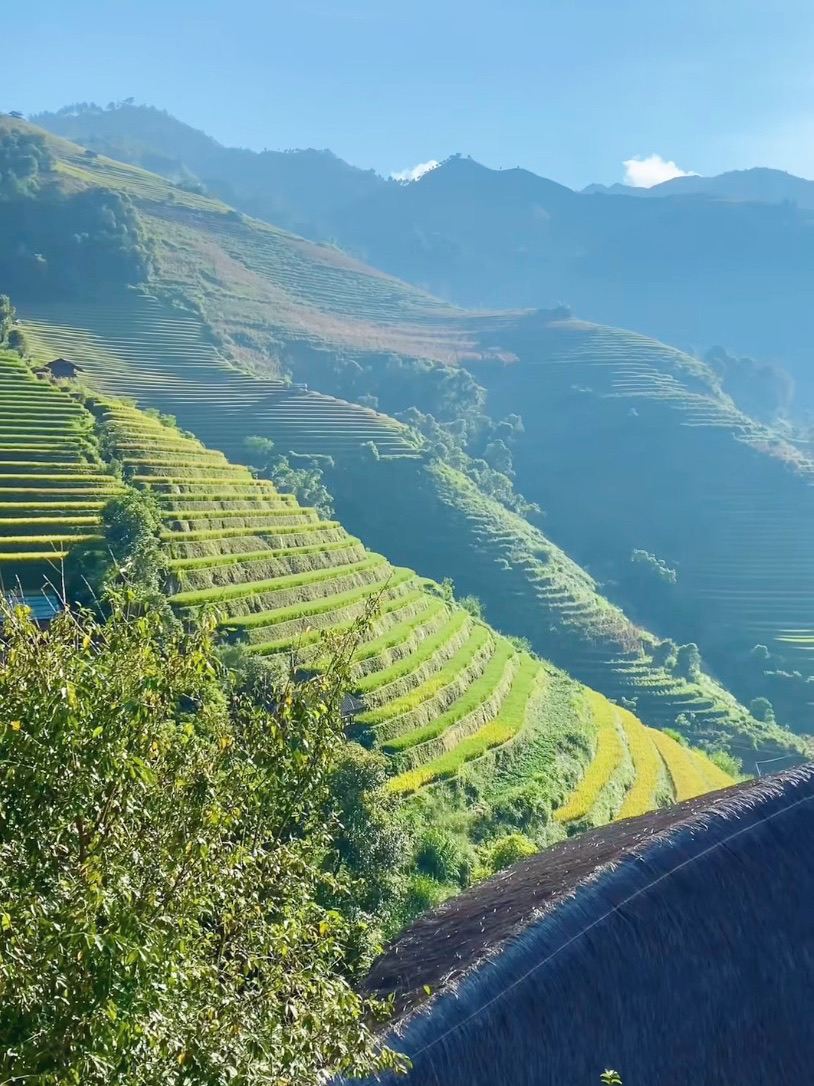 ベトナムの棚田（ライステラス）旅行ガイド。 | Trip.com サパ