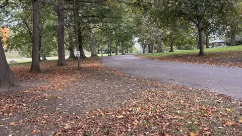 🍂 Discovering the Beauty of Autumn at Roundhay Park 🍁 — traveler post in Leeds