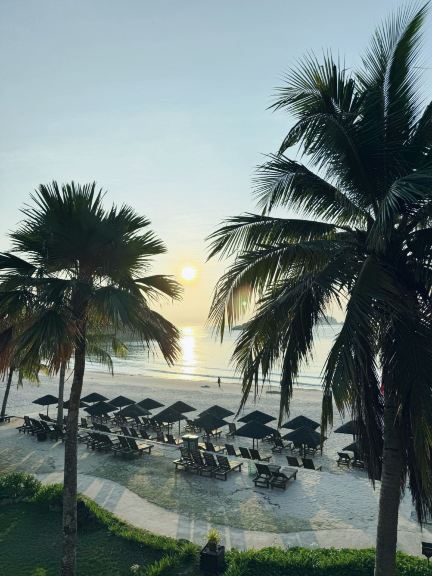 前往熱浪島最簡單的方法：逐步指南🏝️