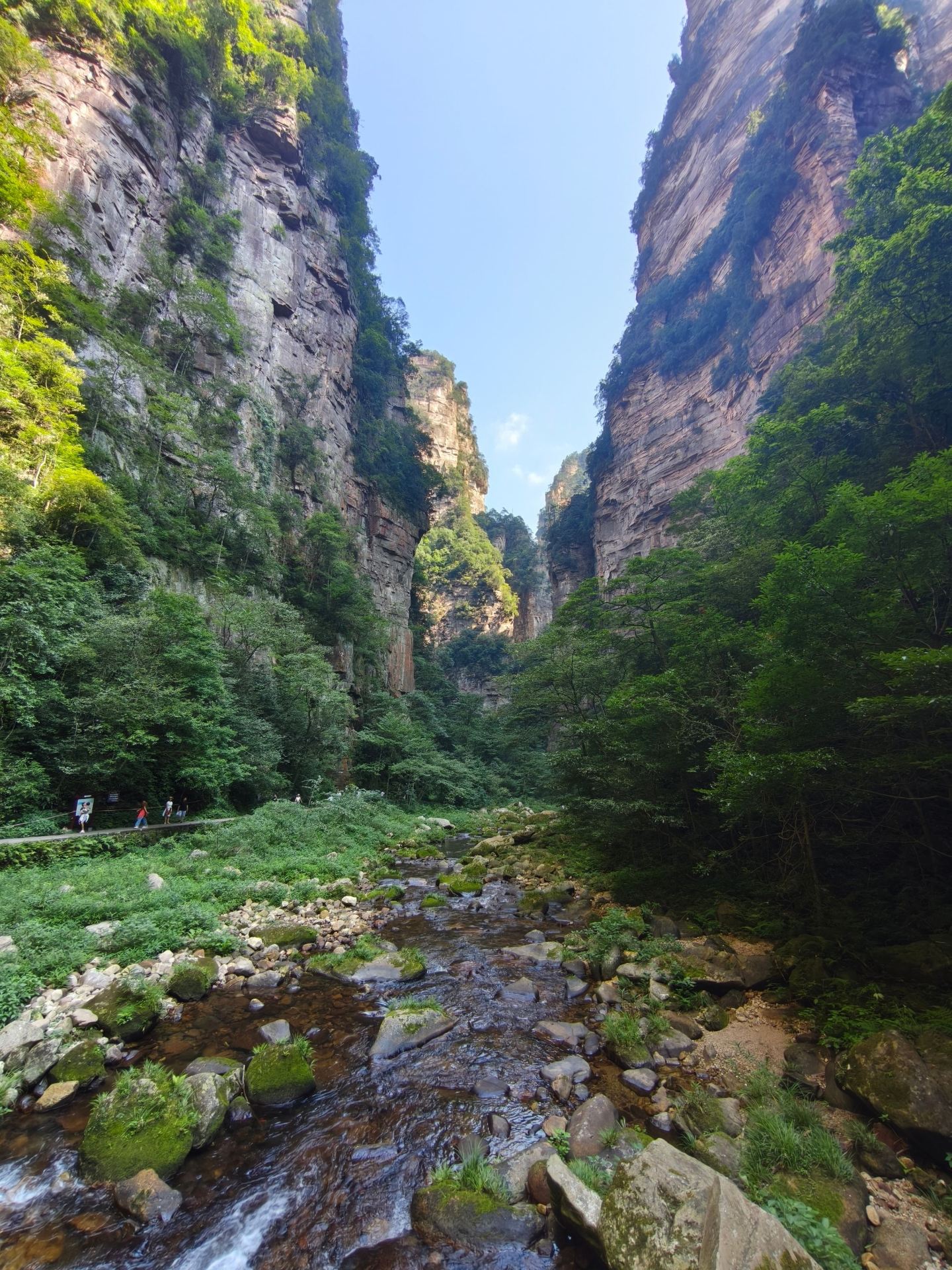 張家界國家森林公園：一場置身於絕美自然奇觀的難忘探險。