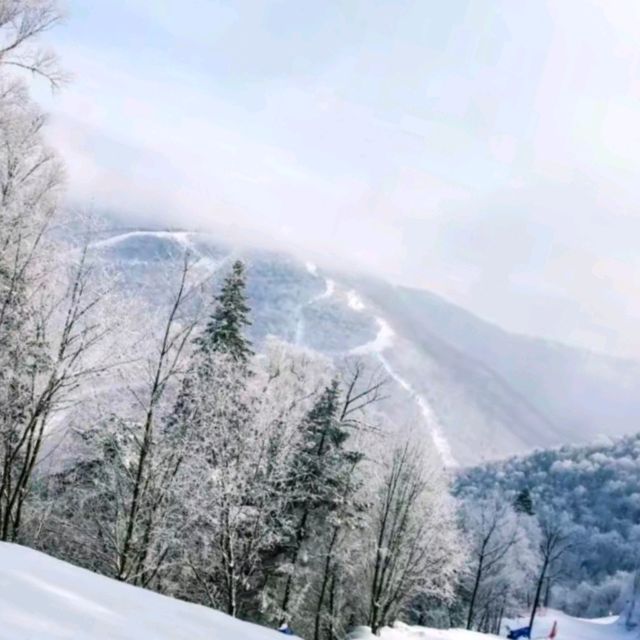 There are four famous ski resorts in Jilin.吉林四大滑雪场