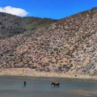 Napahai Grassland & Lake