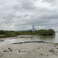 打卡深圳灣流花山公園