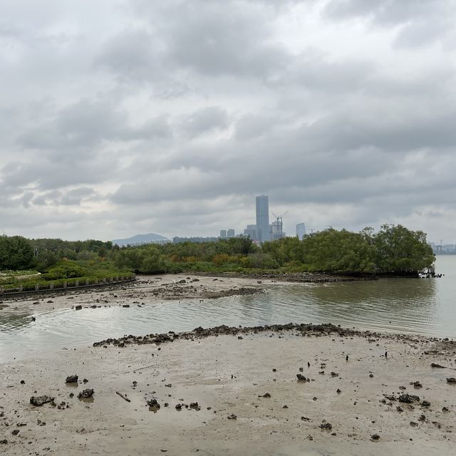 打卡深圳灣流花山公園