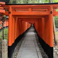 Hike through a thousand inscribed gates 😍