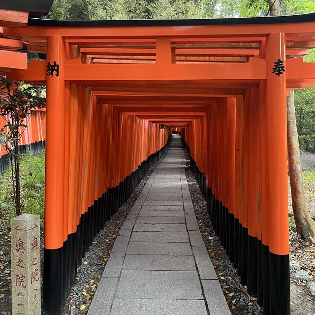 Hike through a thousand inscribed gates 😍