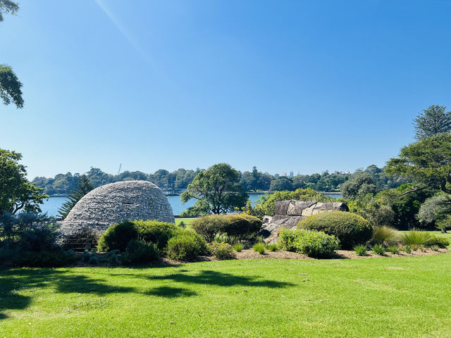 Cool off at the Royal Botanic Garden Sydney.