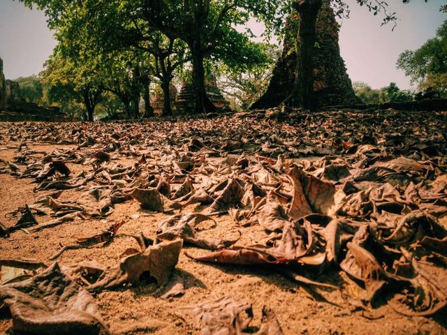 Ayutthaya: Amidst the hustle and bustle of the world, as the sun sets and the journey comes to an end, the glory of a hundred years is but a fleeting cloud of smoke.