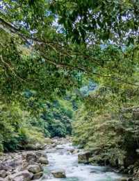Shennong Valley National Forest Park